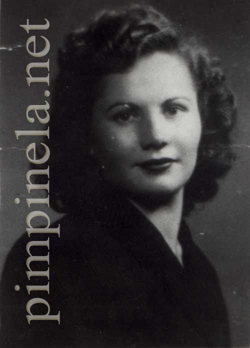 pimpinela pimpinela