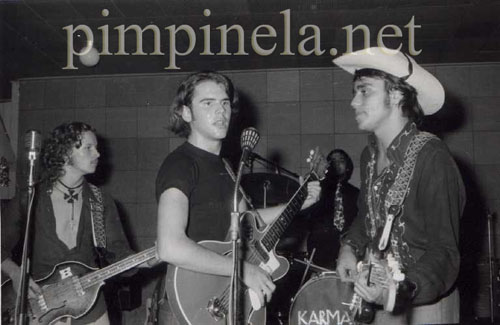 pimpinela pimpinela